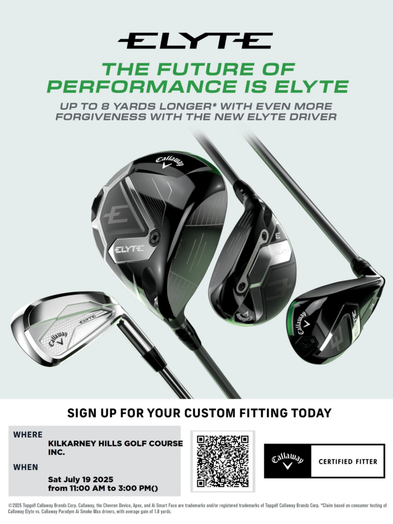 This image has an empty alt attribute; its file name is Green-Grass-Photo-Golf-Tournament-Poster-2-768x1024.png